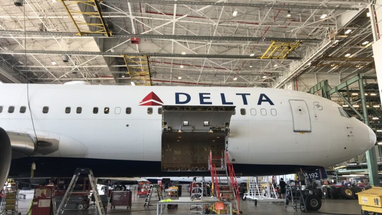 Delta forecasts sales growth in 2025 thanks to ‘resilient economy’