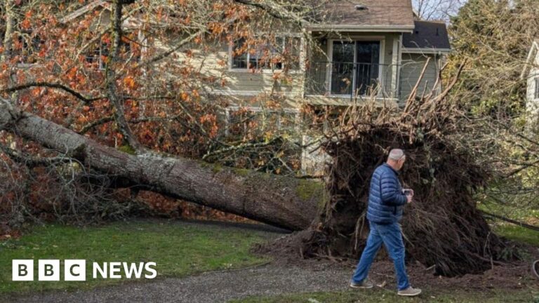 Bomb cyclone downs trees, crushing vehicles