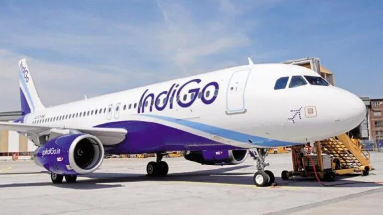 Goa-Lucknow IndiGo flight cancelled after rat spotted in cabin