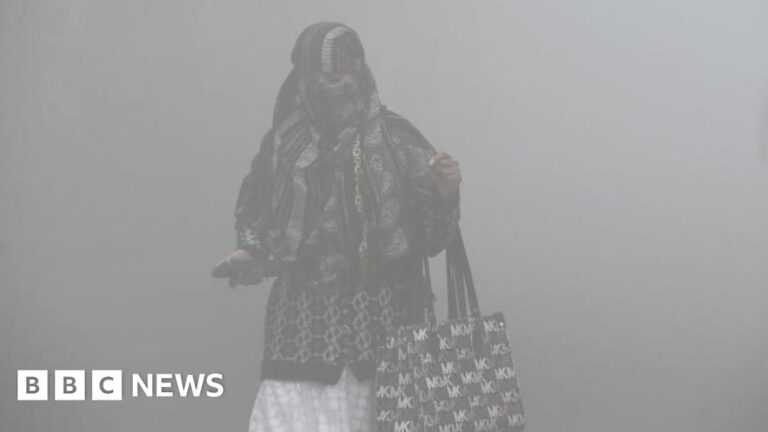 The families fleeing India’s capital to escape deadly smog