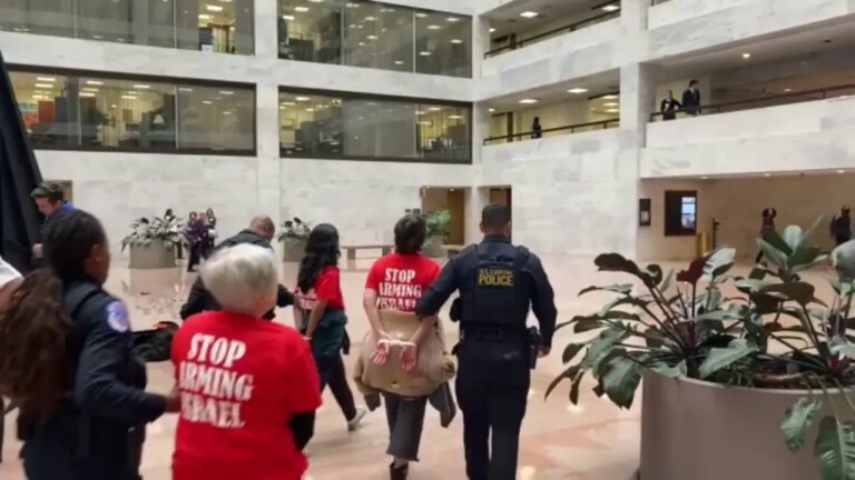 Anti-Israel protesters arrested in Senate office building chant ‘Free Palestine’