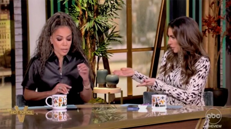 ‘The View’ co-hosts clash over school choice: ‘She’s been talking for three minutes!’